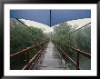 Footbridge Through Rain Forest, Costa Rica by Michael Melford Limited Edition Pricing Art Print