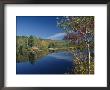 A Lake Surrounded By Trees Displaying The Colors Of Autumn by Richard Nowitz Limited Edition Print