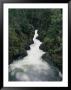 A Flowing River Forms A Scenic View by Paul Nicklen Limited Edition Print