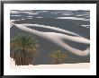 Palm Trees Stand In Front Of Perfectly Cut Sand Dunes In The Sahara by Peter Carsten Limited Edition Print