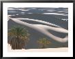 Palm Trees Stand In Front Of Perfectly Cut Sand Dunes In The Sahara by Peter Carsten Limited Edition Print