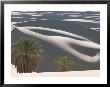 Palm Trees Stand In Front Of Perfectly Cut Sand Dunes In The Sahara by Peter Carsten Limited Edition Pricing Art Print