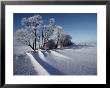 Winter Landscape Near Odense, The Birthplace Of Hans Christian Andersen by Sisse Brimberg Limited Edition Print