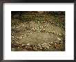 Medicine Wheel, Sedona, Arizona by David Edwards Limited Edition Print