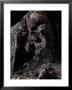Skeleton Encased In Volcanic Ash by O. Louis Mazzatenta Limited Edition Print