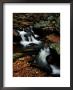 Scenic View Of A Waterfall On Smith Creek by Raymond Gehman Limited Edition Print