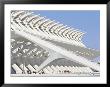 Principe Felipe Museum Of Science, City Of Arts And Sciences, Architect Santiago Calatrava, Spain by Marco Simoni Limited Edition Print