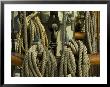 Coiled Ropes Hanging On An Old Wooden Ship by Todd Gipstein Limited Edition Pricing Art Print