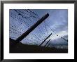 The Remains Of A Barbed Wire Fence That Surrounded A Concentration Camp For Political Prisoners by Steve Raymer Limited Edition Print