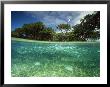 Aquatic Split-Level View With Fish And Mangroves, Australia by Joe Stancampiano Limited Edition Pricing Art Print