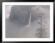 Mist Shrouds Bridalveil Fall In Yosemite by Phil Schermeister Limited Edition Pricing Art Print