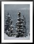 Fresh Snowfall At The Chateau Lake Louise by Richard Nowitz Limited Edition Print