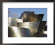 Guggenheim Museum, Bilbao, Euskadi (Pais Vasco), Spain by Charles Bowman Limited Edition Print