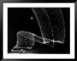 Light Pattern In The Moonlight Sky Produced By Time Exposure Of Light by Andreas Feininger Limited Edition Print