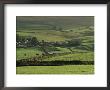 Moors At Ingleborough, North Yorkshire, Yorkshire, England, United Kingdom by Charles Bowman Limited Edition Print