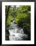 Tabacon Hot Springs, Volcanic Hot Springs Fed From The Arenal Volcano, Arenal, Costa Rica by R H Productions Limited Edition Print