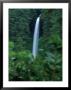 Silver Falls State Park, Or by Donald Higgs Limited Edition Print