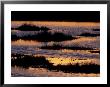 Great Bay At Sunset, New Hampshire, Usa by Jerry & Marcy Monkman Limited Edition Print