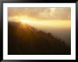 Sunburst In Mt. Rainier National Park, Washington, Usa by Jerry Ginsberg Limited Edition Print