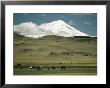 Mount Ararat, Anatolia, Turkey, Eurasia by Christina Gascoigne Limited Edition Print