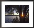 Lake Cour D'alene At Sunset, Idaho, Usa by Chuck Haney Limited Edition Print
