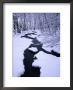 Snow Almost Covering Skaran Creek, Sodersen National Park, Sweden by Anders Blomqvist Limited Edition Print