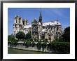 Notre Dame Cathedral From The Left Bank, Paris, France by Michael Short Limited Edition Print