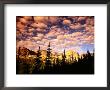 Peaks And Sky From Diamond Lake Trail, Indian Peaks Wilderness, Colorado by Witold Skrypczak Limited Edition Print