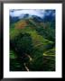 Rice Terraces Around Banaue, Banaue, Philippines by Richard I'anson Limited Edition Pricing Art Print