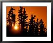 Orange Sunset In The Wilderness Around Mt. Jefferson, Oregon Cascades, Usa by Janis Miglavs Limited Edition Pricing Art Print