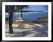 Beach Hammock, Punta Mita, Puerto Vallarta, Mexico by Judith Haden Limited Edition Print