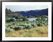 Alkali Lake In The Lower Grand Coulee, Coulee City, Washington, Usa by Jamie & Judy Wild Limited Edition Print