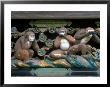 Hear No Evil, Speak No Evil, See No Evil, Toshogu Shrine, Tochigi, Nikko, Japan by Rob Tilley Limited Edition Print