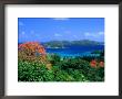 Trees With Red Blossoms And Little Tobago Island, Speyside, Trinidad & Tobago by Michael Lawrence Limited Edition Pricing Art Print