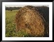 Hay Bales In Fields Near Bell Buckle, Tennessee by Stephen Alvarez Limited Edition Print
