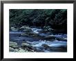 The Little River, Great Smoky Mountains National Park, Tennessee, Usa by William Sutton Limited Edition Print