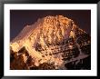 Mt. Robson Seen From Marmot Camp On Berg Lake Trail, Mt. Robson Provincial Park, Canada by Witold Skrypczak Limited Edition Print