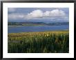Autumn Foliage Surrounds Campbell Lake Near Inuvik by Raymond Gehman Limited Edition Pricing Art Print