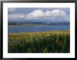 Autumn Foliage Surrounds Campbell Lake Near Inuvik by Raymond Gehman Limited Edition Print