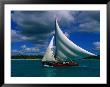 Typical Fishing Sailboat, Bayahibe, La Romana, Dominican Republic by Greg Johnston Limited Edition Print
