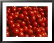 Close-Up Of Tomatoes At A Market In Helsinki by Todd Gipstein Limited Edition Print