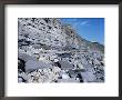 Fossil Bearing Lias Beds, Seven Rock Point, Jurassic Coast, Lyme Regis by Cyndy Black Limited Edition Print