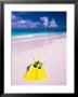 Yellow Mask And Fins On Pink Sand Beach Of Harbour Island, Bahamas by Greg Johnston Limited Edition Print