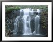 Mackenzie Falls, Grampians National Park, Victoria, Australia by Robert Francis Limited Edition Print