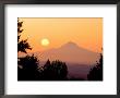 Sunrise Over Mt. Hood, Oregon Cascades, Usa by Janis Miglavs Limited Edition Print