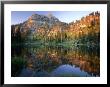 Mt. Magog Reflected In White Pine Lake At Sunrise, Wasatch-Cache National Forest, Utah, Usa by Scott T. Smith Limited Edition Print
