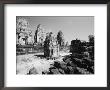 Pre Rup Temple, Angkor, Cambodia by Walter Bibikow Limited Edition Print