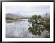 Lochan Na H-Achlaise And The Mountains Of The Black Mount, Rannoch Moor, Highland Region, Scotland by Lee Frost Limited Edition Print