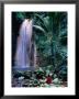 Hot Mineral Waterfall In Diamond Botanical Garden, Soufriere, St. Lucia by Jeff Greenberg Limited Edition Print