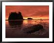Sunset On Sea Stacks Of Second Beach, Olympic National Park, Washington, Usa by Jerry Ginsberg Limited Edition Print